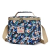 Saneng Cross-border insulated bags, children's hand-held large-capacity lunch box bags, outdoor picnic ice packs, aluminum foil insulated bags in stock Application Scenario